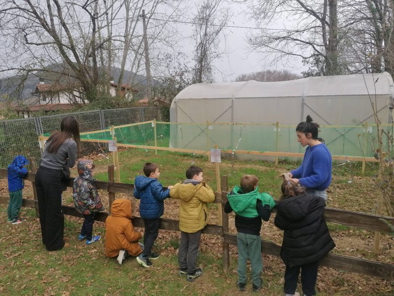 IMG_20260115_142410 (1)