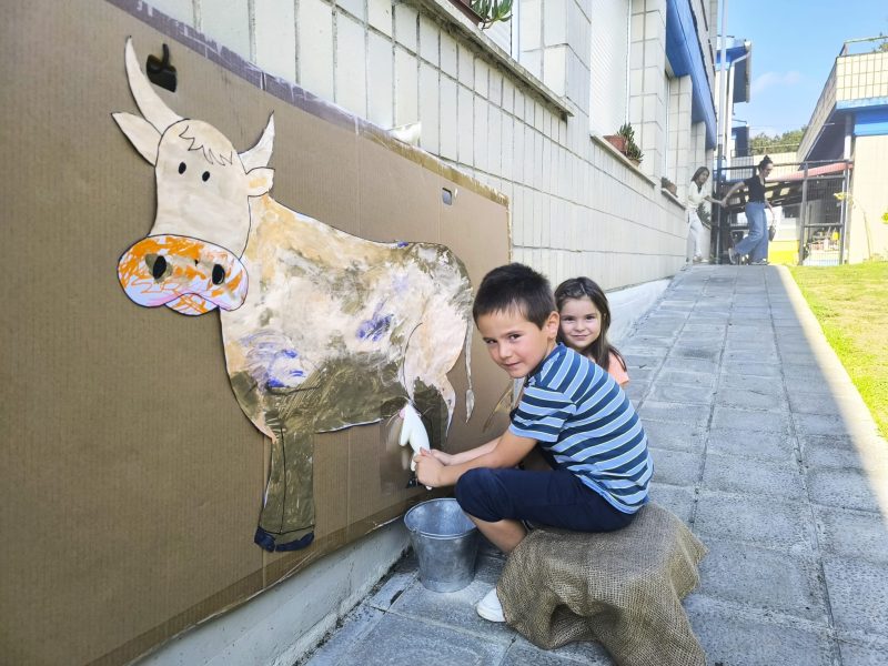 WhatsApp Image 2025-10-14 at 14.54.26