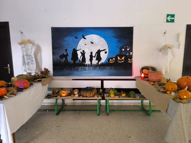 WhatsApp Image 2025-10-31 at 09.34.02